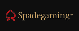 Spadegaming was established in 2007 by a group of engineers and designers